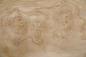 Preview: Esche Maser; oliv -Furnier (0,6mm) - 8,87m² (16Stk. x 118cm x 47cm)