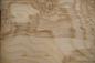Preview: Esche Maser; oliv -Furnier (0,6mm) - 0,81m² (8Stk. x 38cm x 26,5cm)