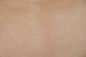 Preview: Buche -Furnier (2,4mm) - 0,42m² (8Stk. x 17cm x 31cm)