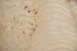 Preview: Esche Maser; oliv -Furnier (0,6mm) - 1m² (17Stk. x 28cm x 21cm)