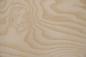 Preview: White Ash Burl, - veneer (0,6mm) - 0,89m² (6pcs. x 53cm x 28cm)