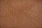 Preview: Madrona Maser -Furnier (0,6mm) - 6,55m² (24Stk. x 65cm x 42cm)