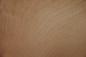 Preview: Myrtle, - veneer (0,6mm) - 1,43m² (17pcs. x 42cm x 20cm)