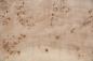 Preview: Mapa Burl, - veneer (0,6mm) - 5,44m² (24pcs. x 63cm x 36cm)