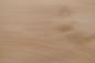 Preview: 0.6mm Platane Furnier 1.19m² S 24 26 19