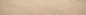 Preview: 0.6mm Platane Furnier 1.12m² S 9 89 14