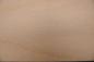 Preview: Beech, - veneer (0,6mm) - 0,92m² (24pcs. x 59cm x 6,5cm)