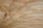 Preview: Esche Maser; oliv -Furnier (0,6mm) - 0,59m² (16Stk. x 16cm x 23cm)