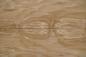 Preview: Olive Ash Burl, - veneer (0,6mm) - 1,3m² (7pcs. x 124cm x 15cm)