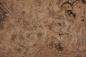 Preview: American Black Walnut, - veneer (1,4mm) - 1,39m² (9pcs. x 43cm x 36cm)