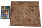 Preview: American Black Walnut, - veneer (1,4mm) - 1,39m² (9pcs. x 43cm x 36cm)