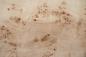 Preview: Mapa Burl, - veneer (0,6mm) - 6,48m² (23pcs. x 88cm x 32cm)