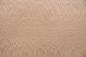 Preview: Platane -Furnier (0,6mm) - 0,41m² (16Stk. x 16cm x 16cm)