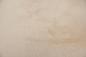 Preview: Sycamore, - veneer (0,6mm) - 0,47m² (28pcs. x 12cm x 14cm)