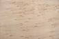 Preview: Birke Maser -Furnier (0,6mm) - 0,22m² (8Stk. x 23cm x 12cm)