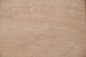 Preview: Buche -Furnier (2,4mm) - 0,21m² (7Stk. x 19cm x 15,5cm)