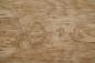 Preview: Esche Maser; oliv -Furnier (0,6mm) - 1,17m² (5Stk. x 138cm x 17cm)