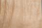 Preview: Quilted Maple, - veneer (0,6mm) - 0,66m² (16pcs. x 18cm x 23cm)