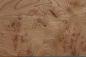 Preview: Elm partial Burl, veneer