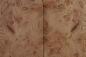 Preview: Elm partial Burl, veneer