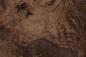 Preview: Californian Walnut Burl, - veneer (1,8mm) - 0,68m² (8pcs. x 34cm x 25cm)