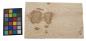 Preview: Esche Maser; oliv -Furnier (0,6mm) - 1,28m² (12Stk. x 41cm x 26cm)