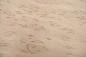 Preview: Birke Maser -Furnier (0,6mm) - 0,66m² (10Stk. x 49cm x 13,5cm)