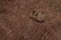 Preview: Californian Walnut Burl, - veneer (1,8mm) - 0,73m² (8pcs. x 38cm x 24cm)