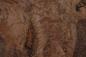 Preview: Nussbaum Maser -Furnier (1,8mm) - 0,31m² (8Stk. x 23cm x 17cm)