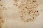 Preview: Pappel Maser (Mapa) -Furnier (0,6mm) - 1,76m² (18Stk. x 28cm x 35cm)