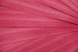 Preview: Tulipier; Tulipwood, rot gefärbt -Furnier (0,6mm) - 0,22m² (12Stk. x 26cm x 7cm)
