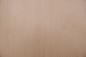 Preview: Buche -Furnier (2,4mm) - 0,21m² (8Stk. x 16cm x 16,5cm)