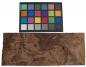 Preview: Californian Walnut Burl, - veneer (1,8mm) - 0,22m² (5pcs. x 34cm x 13cm)