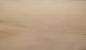 Preview: 0.6mm Platane Furnier 4.48m² Y 23 59 33