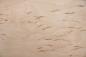 Preview: Karelian Birch; Birch Burl, - veneer (0,6mm) - 0,35m² (8pcs. x 44cm x 10cm)
