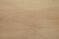 Preview: 0.6mm Platane Furnier 3.89m² Z 22 52 34