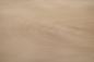 Preview: 0.6mm Platane Furnier 3.42m² Z 13 72 36.5