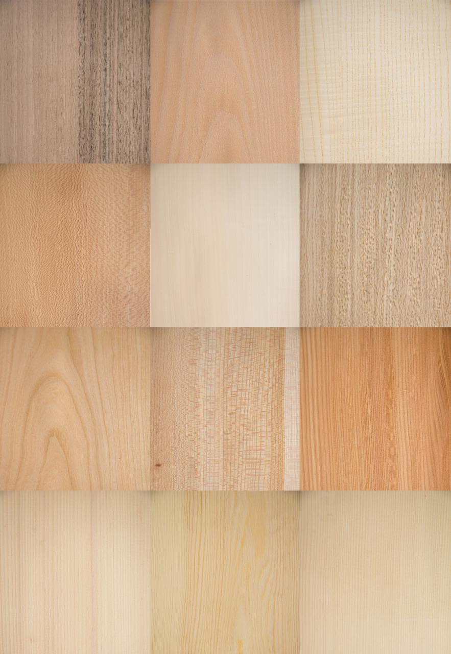 Echtholz-Furniermuster-Set  mit 12 europäischen Holzarten
