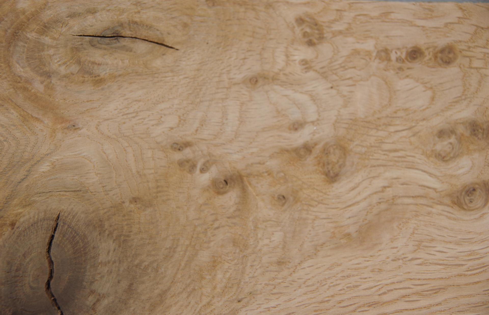 Eiche (Asteiche Wildeiche) -Furnier (0,9mm) - 1,75m² (14Stk. x 125cm x 10cm)