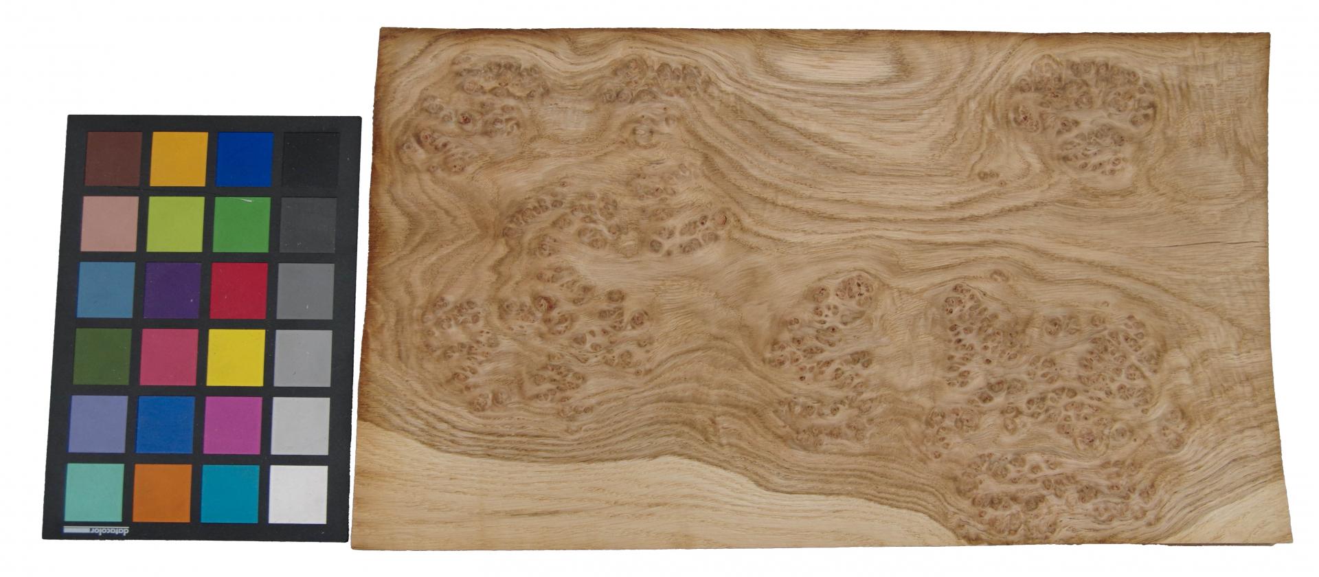 Eiche, Maser (Roseneiche) -Furnier (0,6mm) - 2,12m² (23Stk. x 40cm x 23cm)