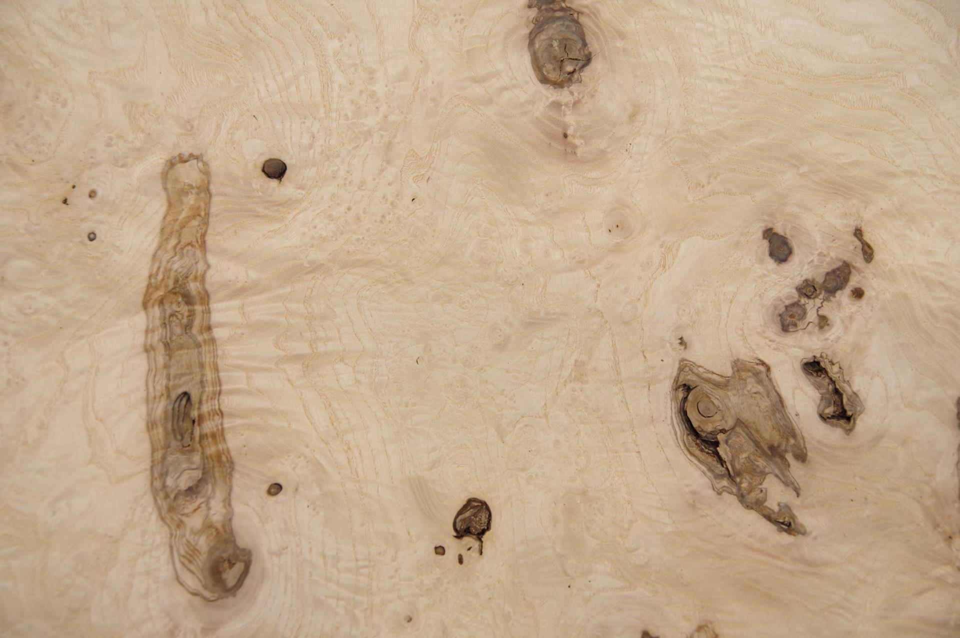 Olive Ash Burl, - veneer (0,6mm) - 7,95m² (24pcs. x 69cm x 48cm)
