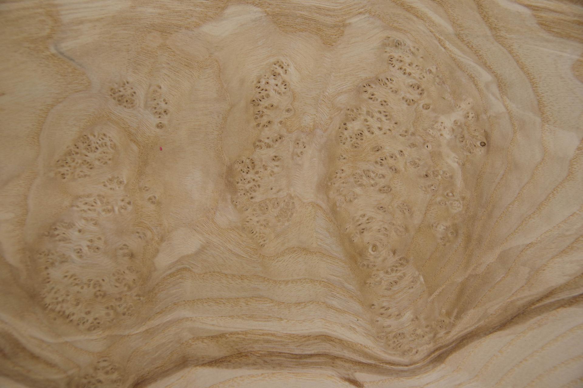 Olive Ash Burl, - veneer (0,6mm) - 8,15m² (13pcs. x 114cm x 55cm)
