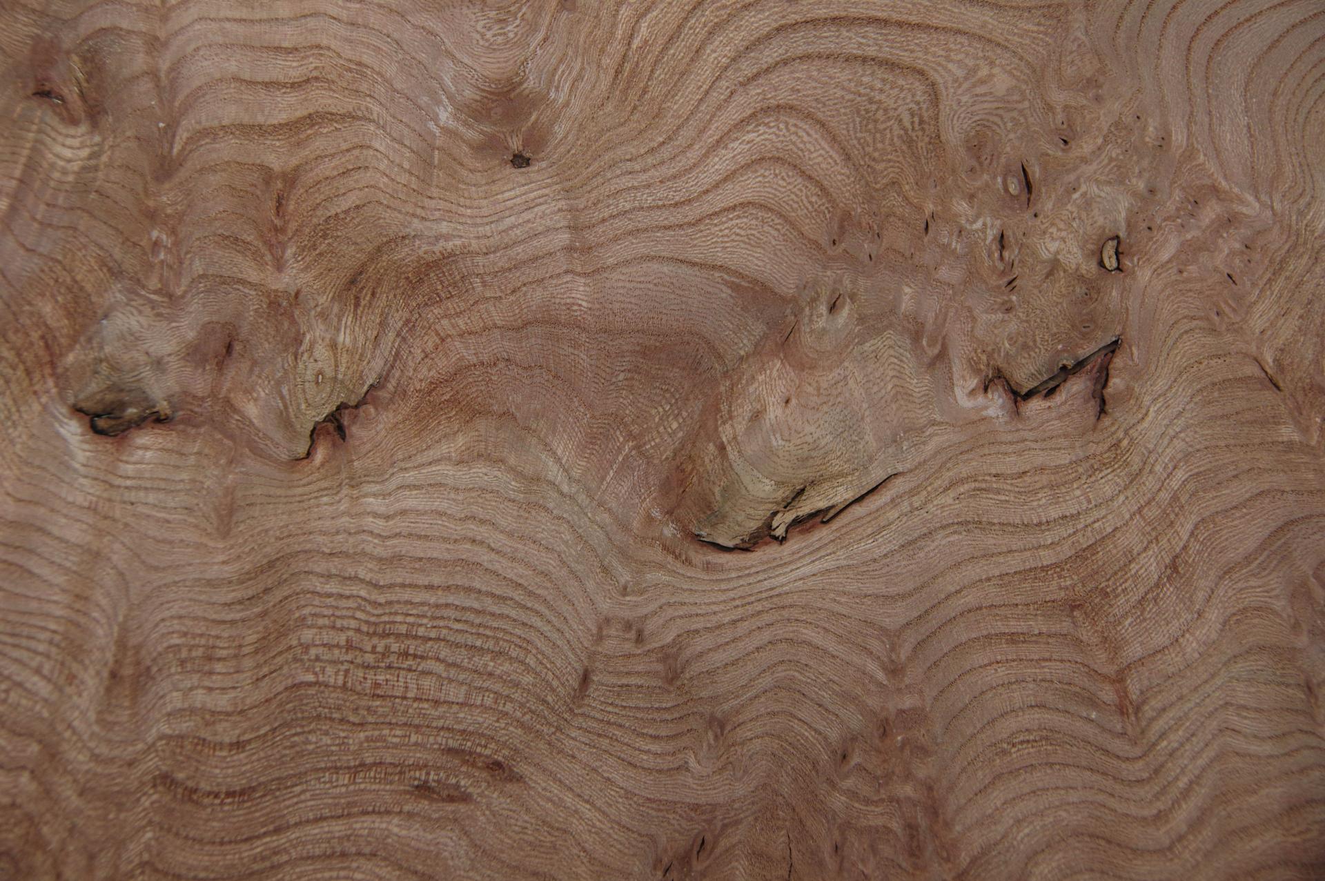 Rüster (Ulme) Halbmaser -Furnier (0,6mm) - 0,2m² (5Stk. x 22cm x 18cm)