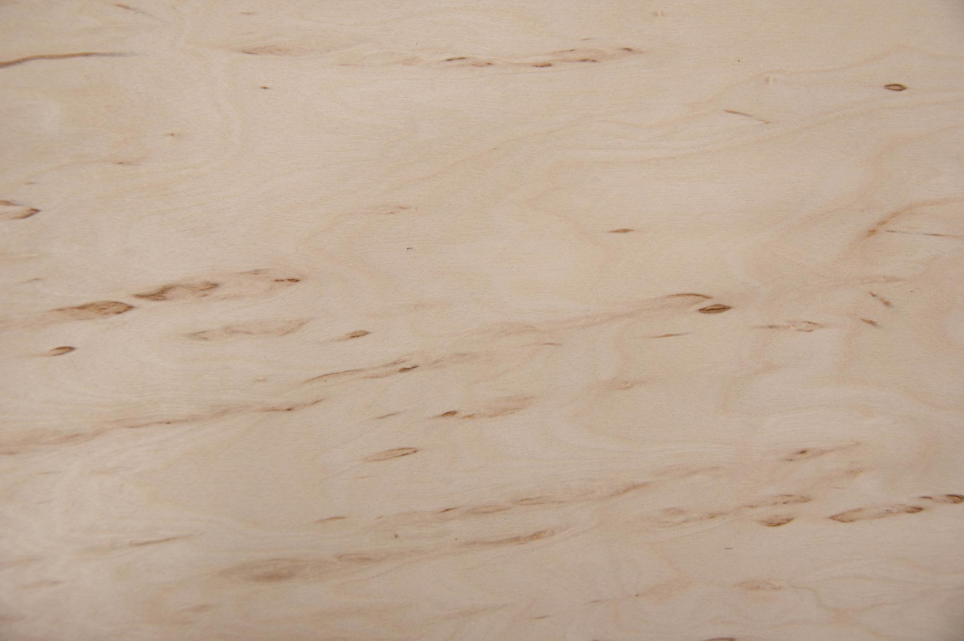 Birke Maser -Furnier (0,6mm) - 0,79m² (14Stk. x 34cm x 16,5cm)