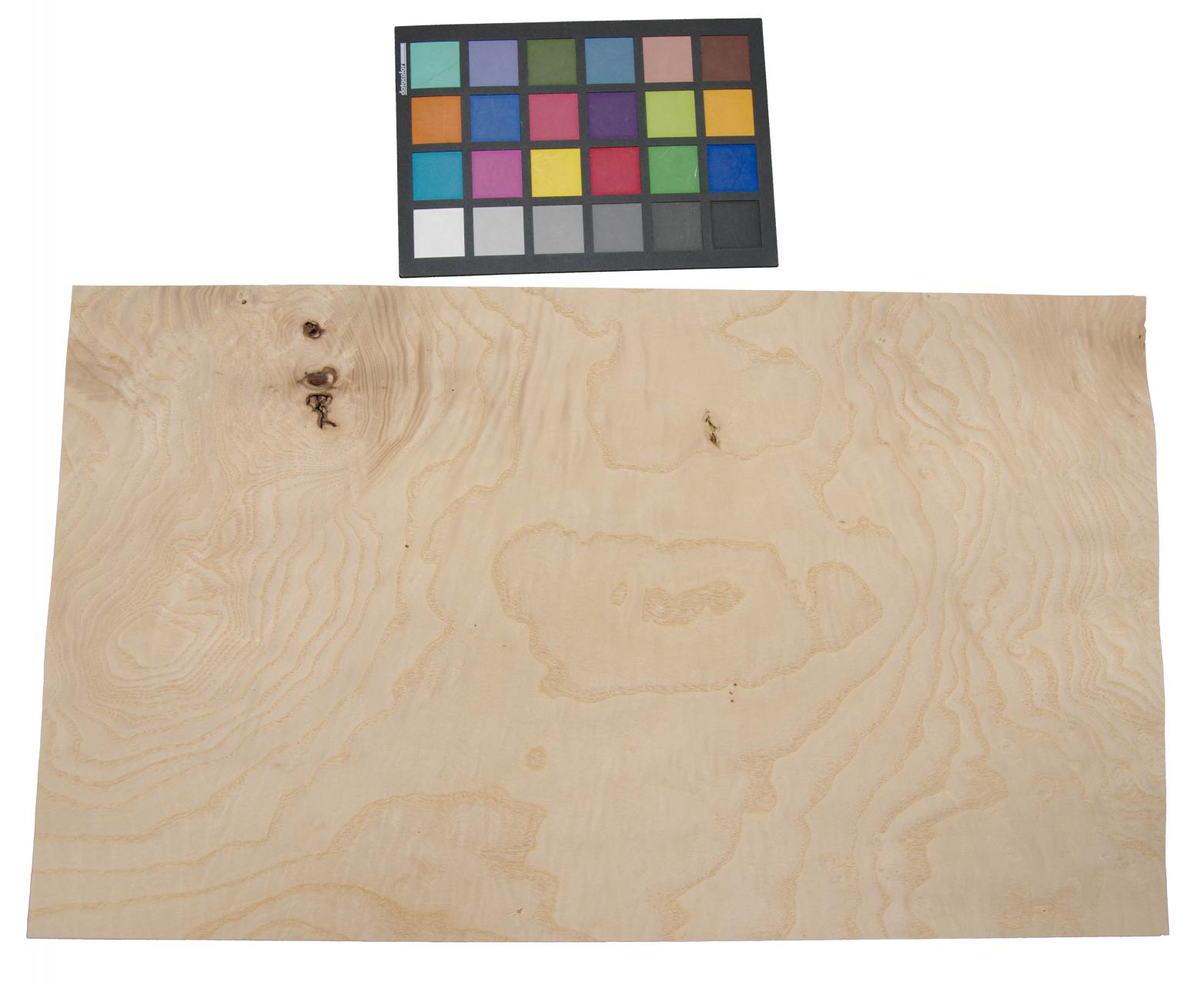White Ash Burl, - veneer (0,6mm) - 3,85m² (23pcs. x 54cm x 31cm)