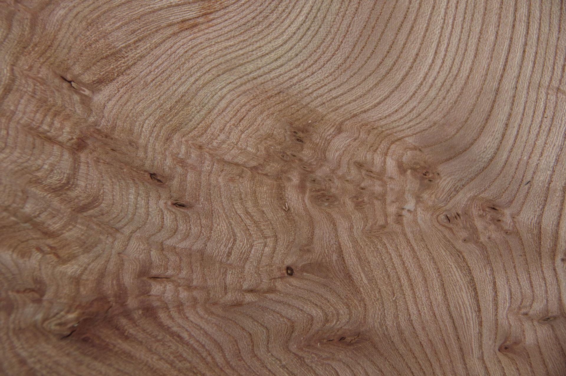 Rüster (Ulme) Halbmaser -Furnier (0,6mm) - 0,16m² (5Stk. x 13cm x 25cm)