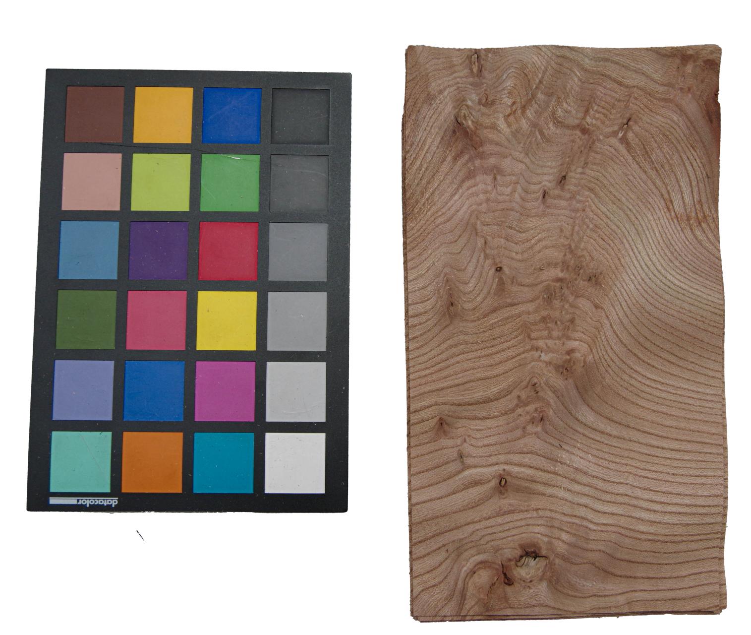 Rüster (Ulme) Halbmaser -Furnier (0,6mm) - 0,16m² (5Stk. x 13cm x 25cm)