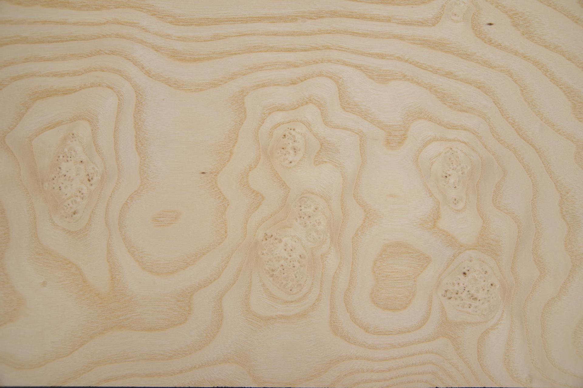 White Ash Burl, - veneer (0,6mm) - 5,01m² (10pcs. x 179cm x 28cm)