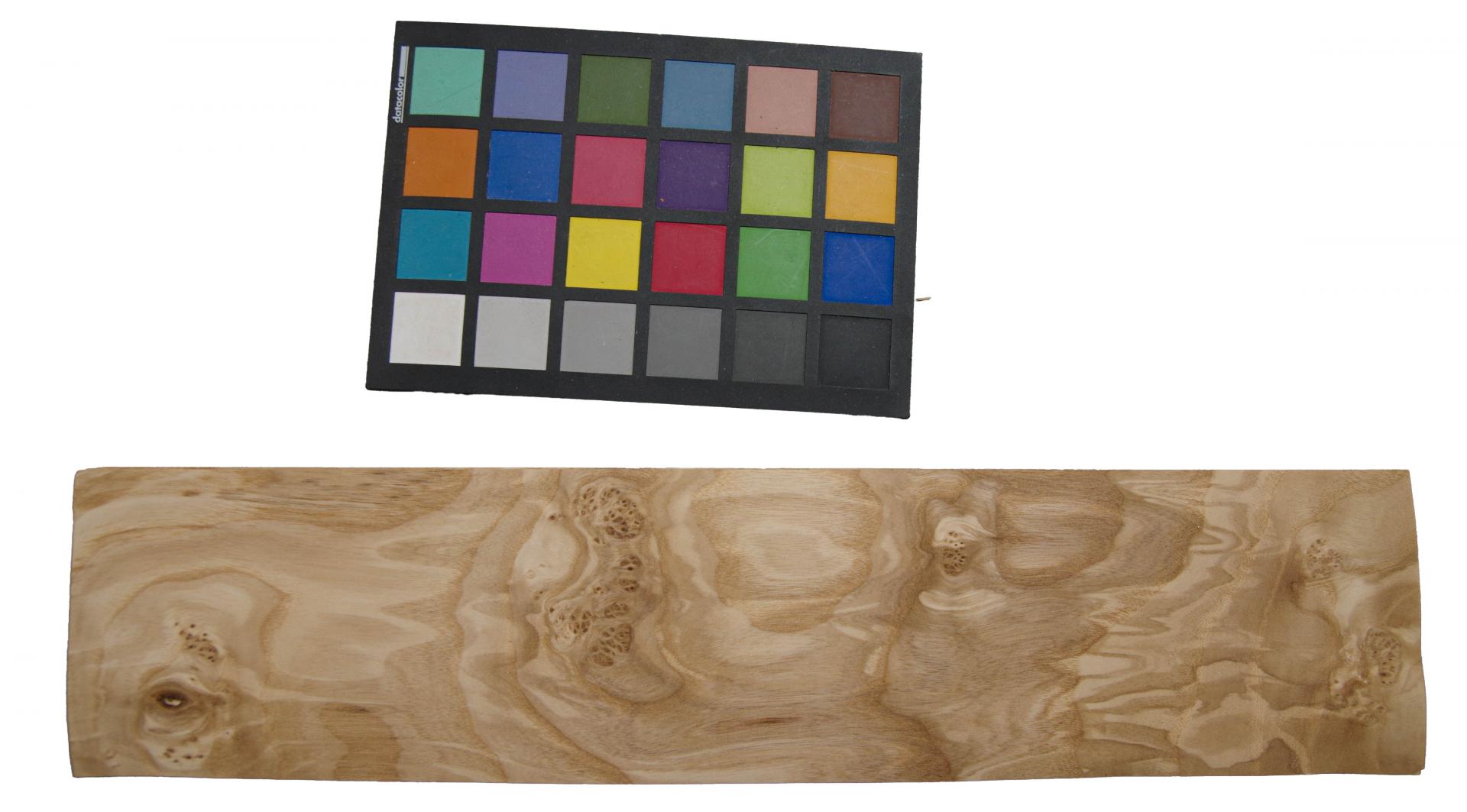 Esche Maser; oliv -Furnier (0,6mm) - 0,64m² (13Stk. x 47cm x 10,5cm)