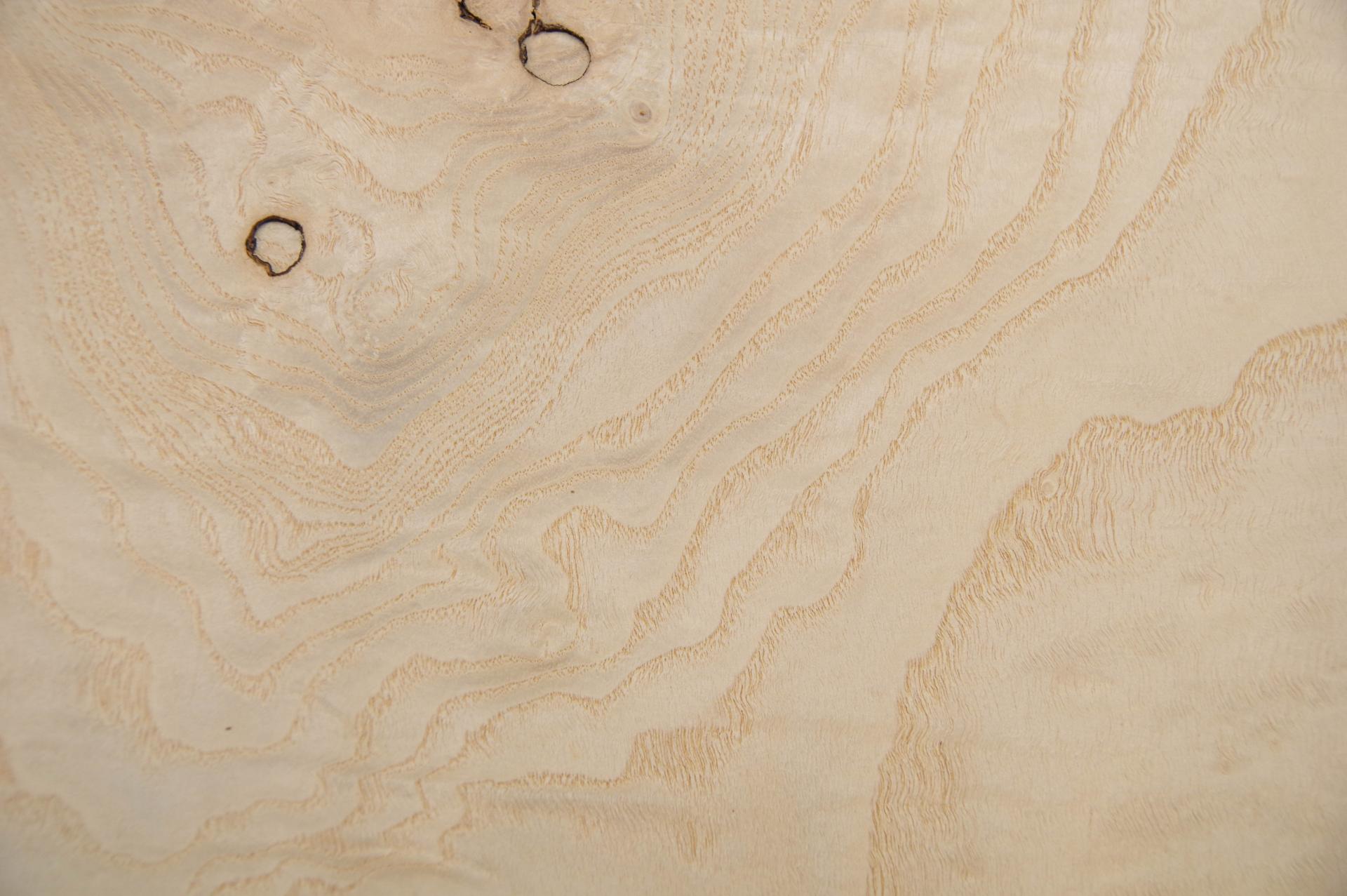 White Ash Burl, - veneer (0,6mm) - 2,11m² (21pcs. x 67cm x 15cm)